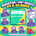 Digestive and Gut Health Strips at a glance with mixed berry flavor