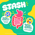 Illustrated gut diagram with probiotic and digestive enzyme callouts