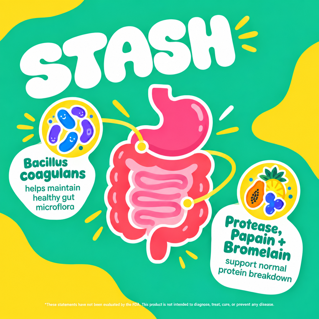 Illustrated gut diagram with probiotic and digestive enzyme callouts