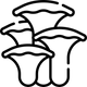 Adaptogenic Mushroom Support